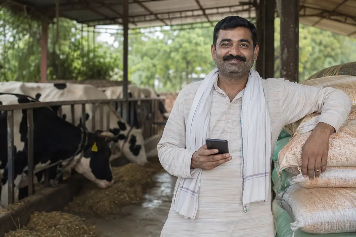 A happy dairy farmer in his cattle shed holding his phone